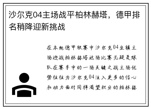 沙尔克04主场战平柏林赫塔，德甲排名稍降迎新挑战